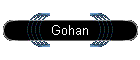 Gohan